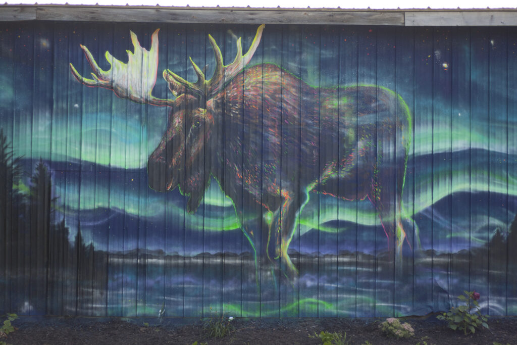 Mimmit-Peinttaa-mural-moose-close-up