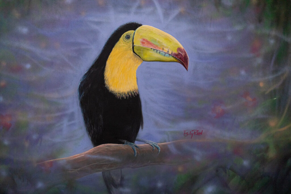 Toucan-high-low-res