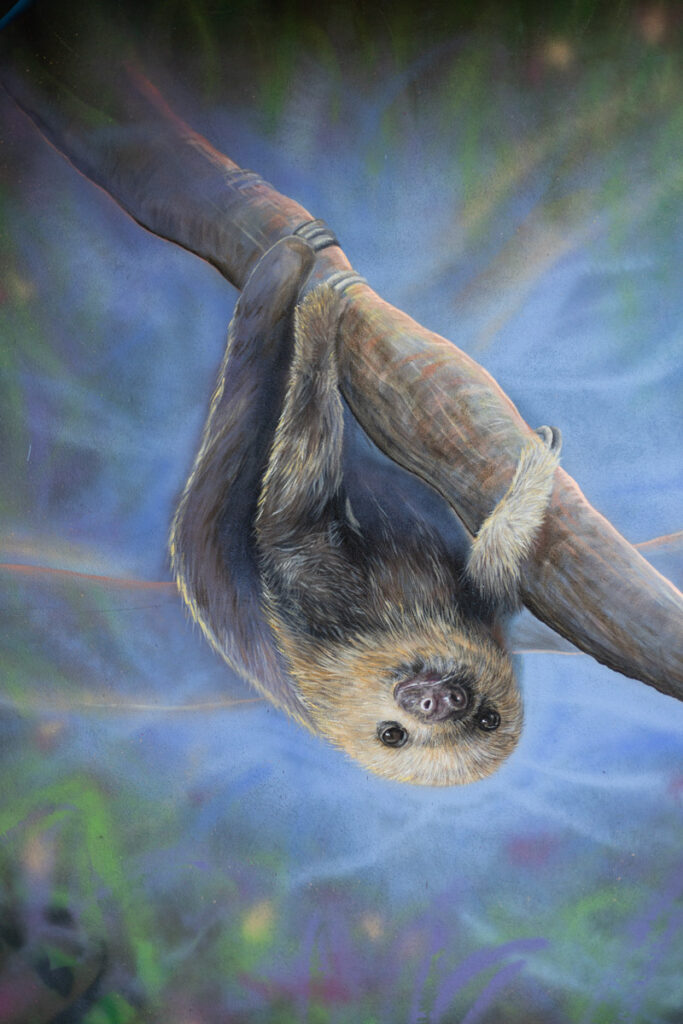 sloth-low-res